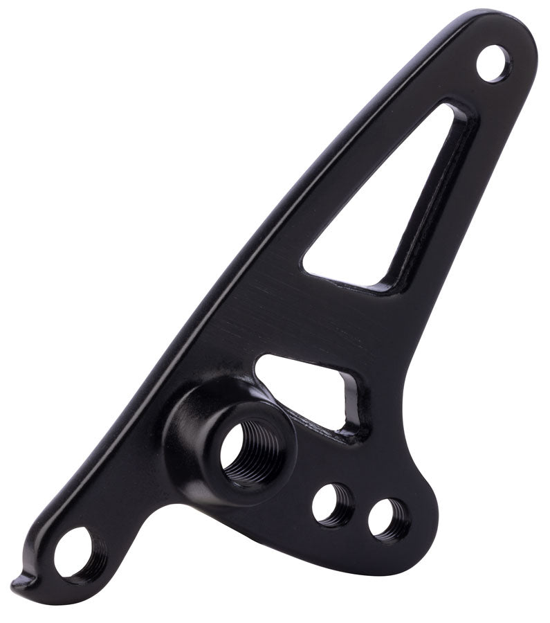 Salsa Alternator 2.0 2-Position Fixed Plate Right Driveside Thru Axle - 3801