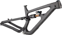 Salsa Cassidy Carbon Frame - Carbon Raw Medium
