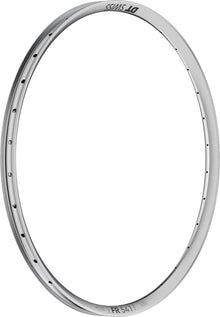 DT Swiss FR 541 Rim - 29" Disc Silver 32H