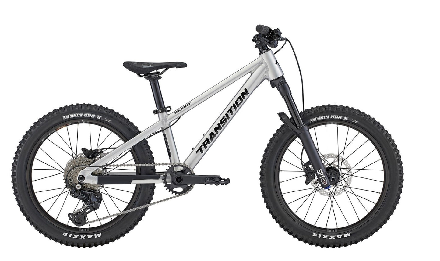 Bandit Hardtail Raw Alloy